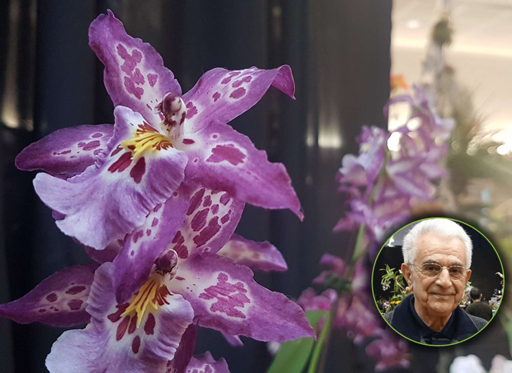 گزارش-برگزاری-نمایشگاه-سالیانه-گل-ارکیده-در-تورنتو