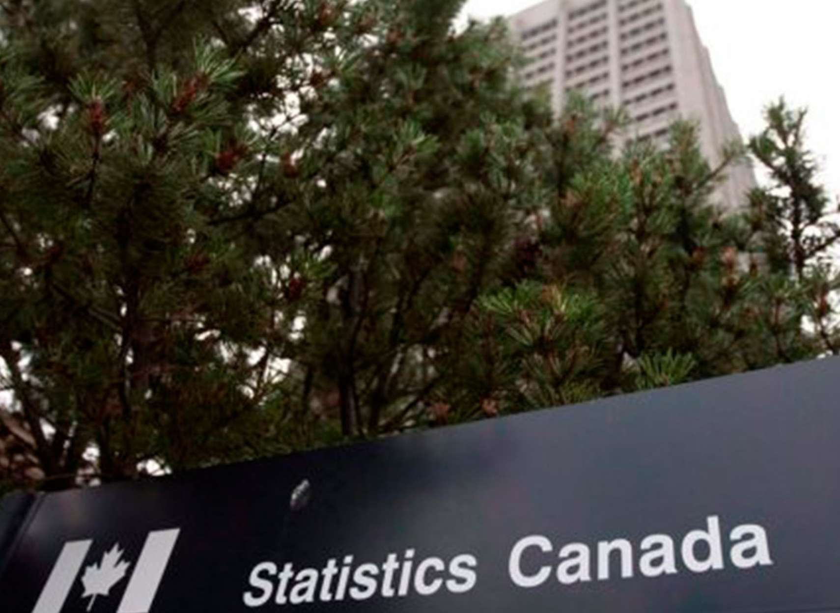 economy-tavarom-bahreh