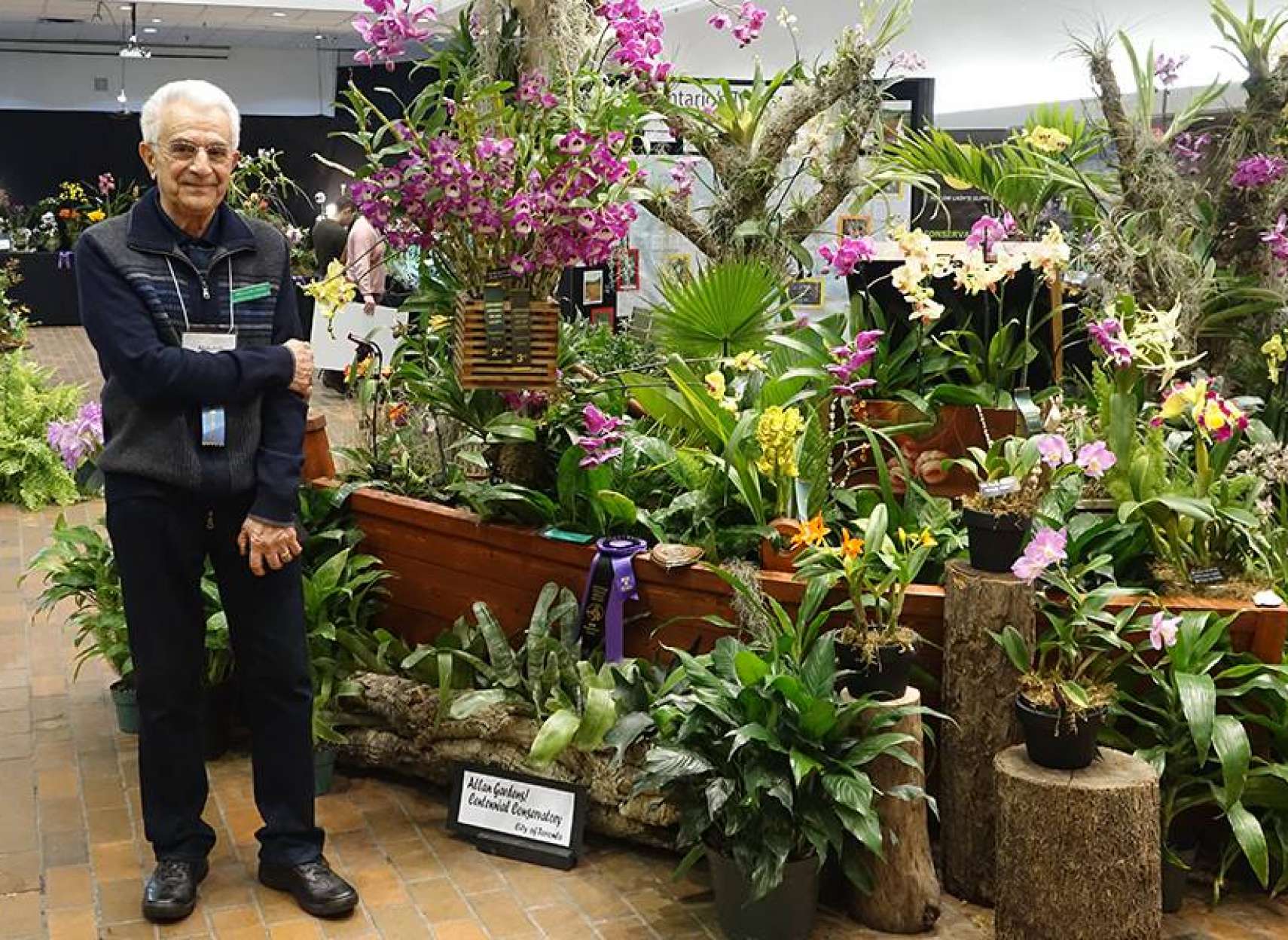 family-withyou-hamidi-orchid