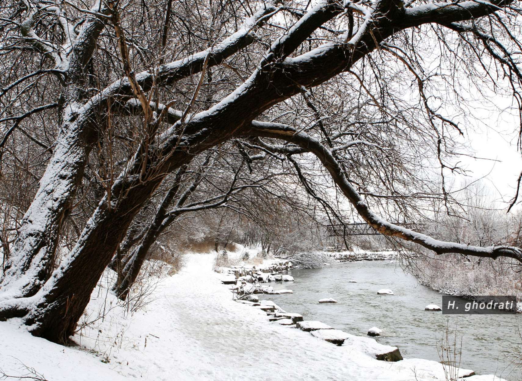 پیچ رود برفی