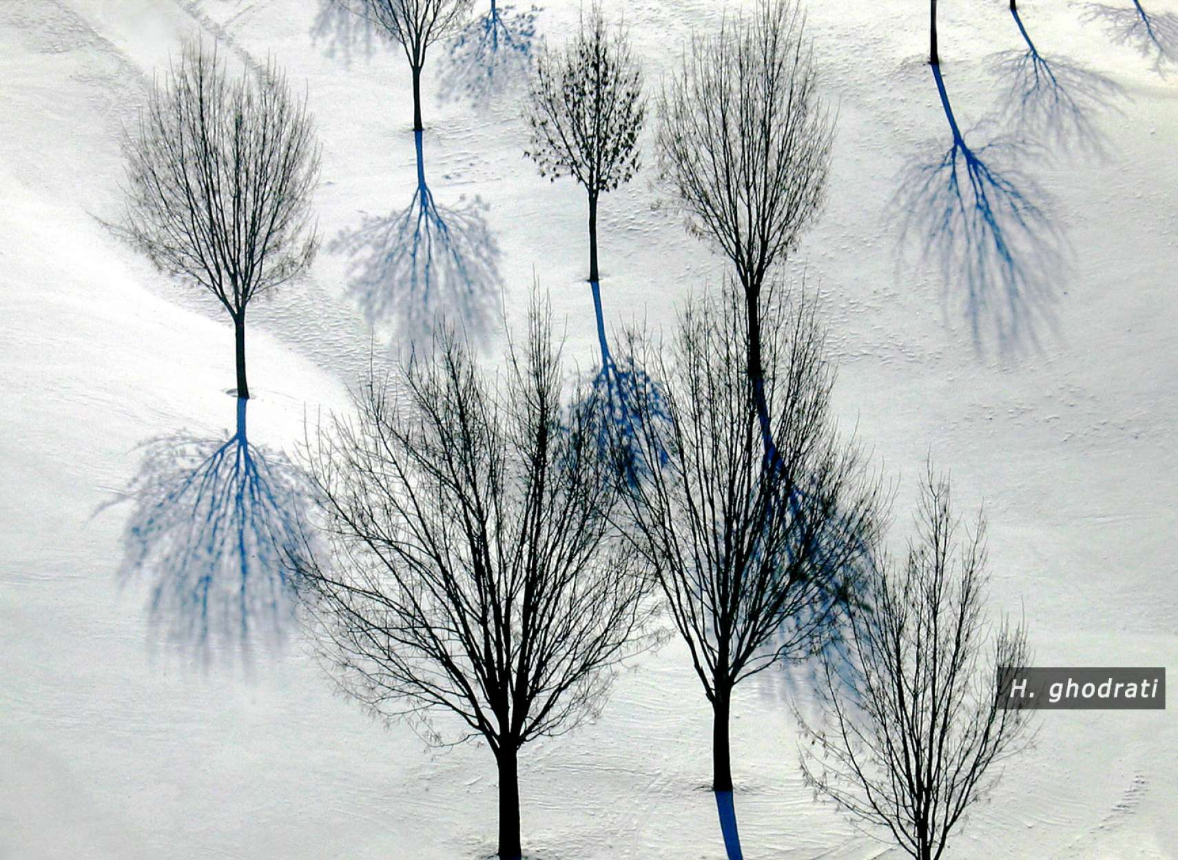 زمستانی نقاش