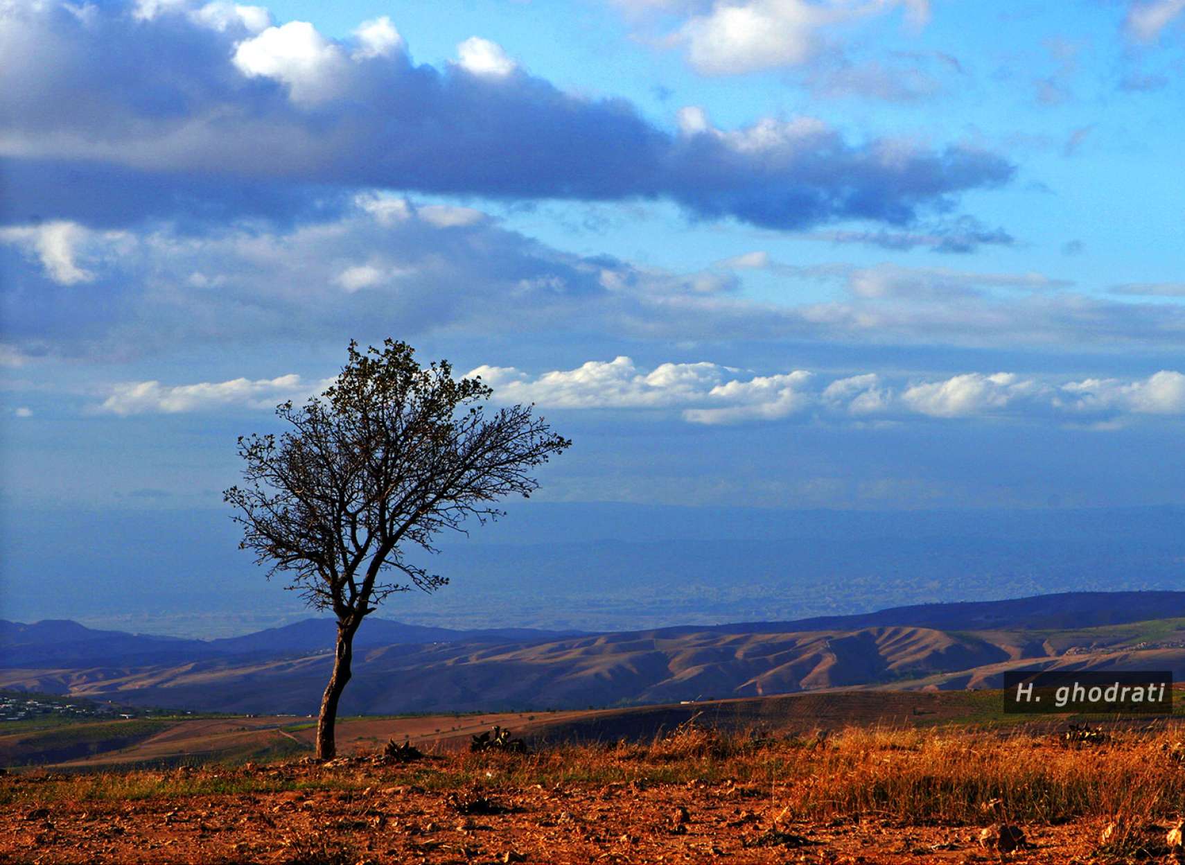 تنها بر فلات