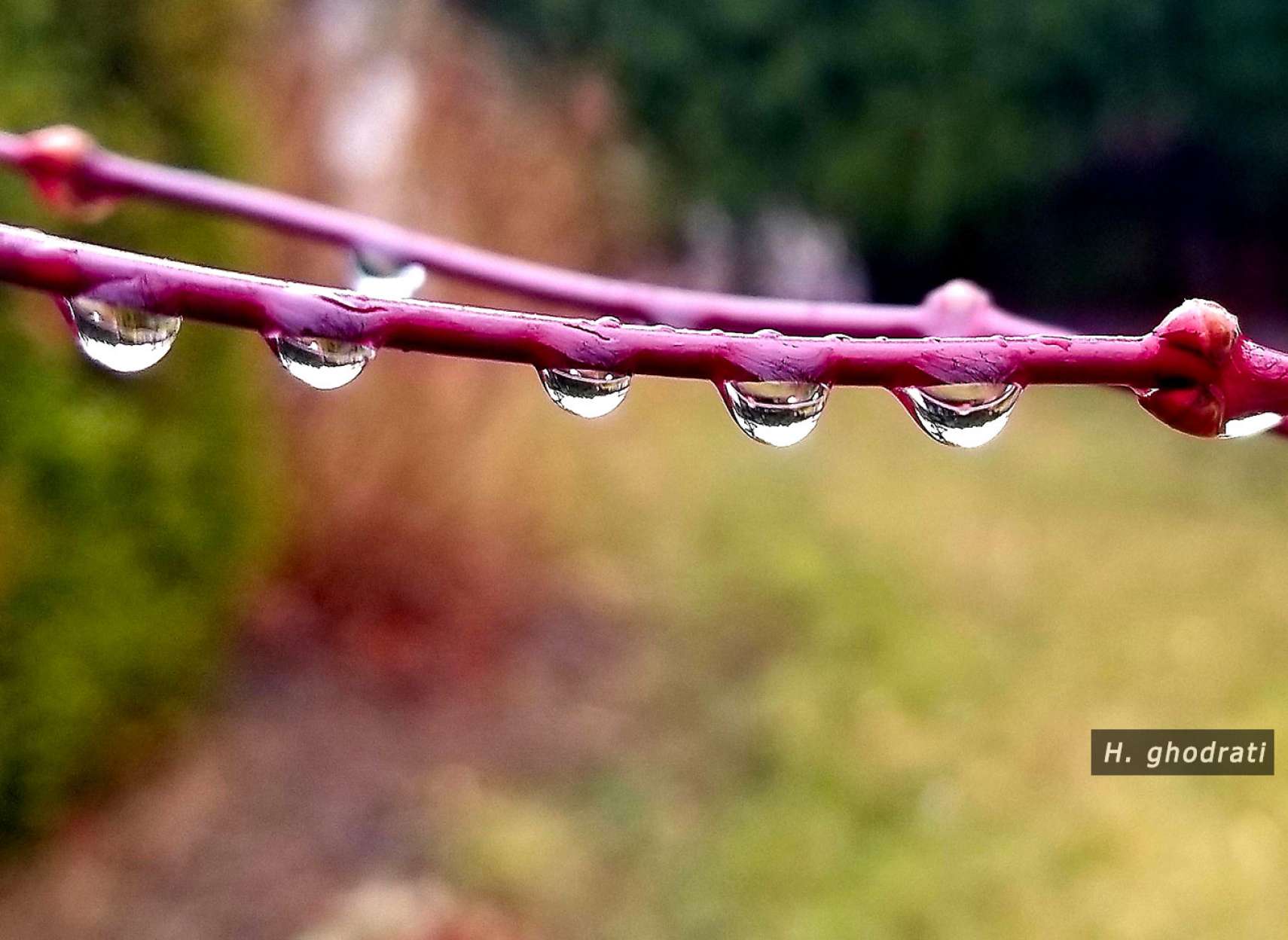 قطرات آویخته