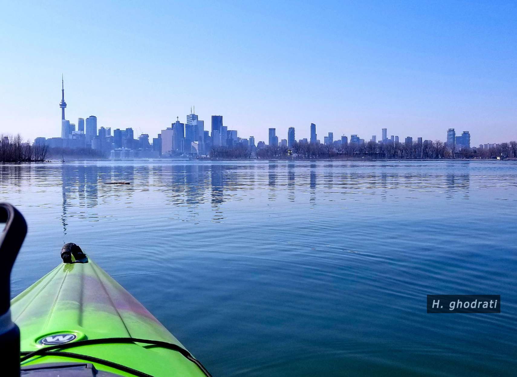 تورنتوی آبی آبی