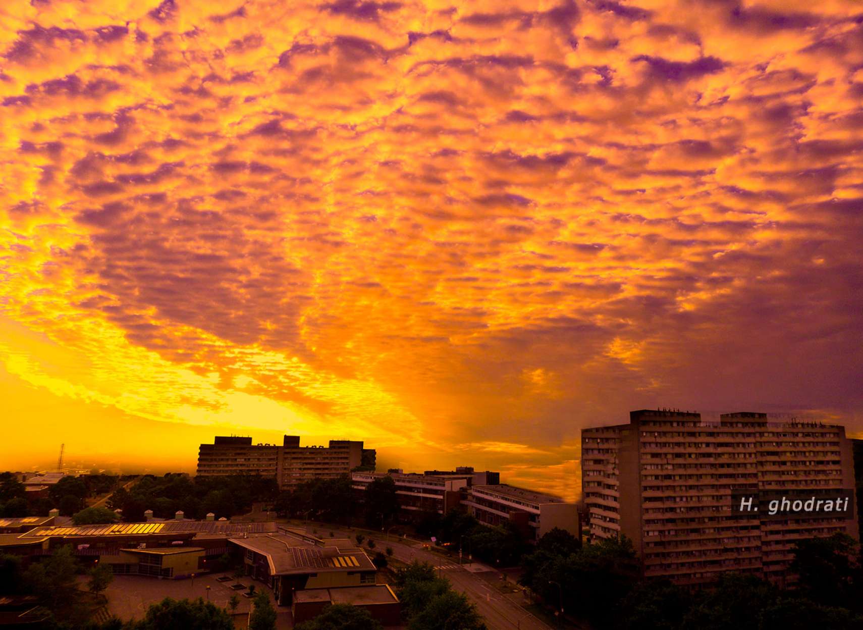 زردی به نارنجی