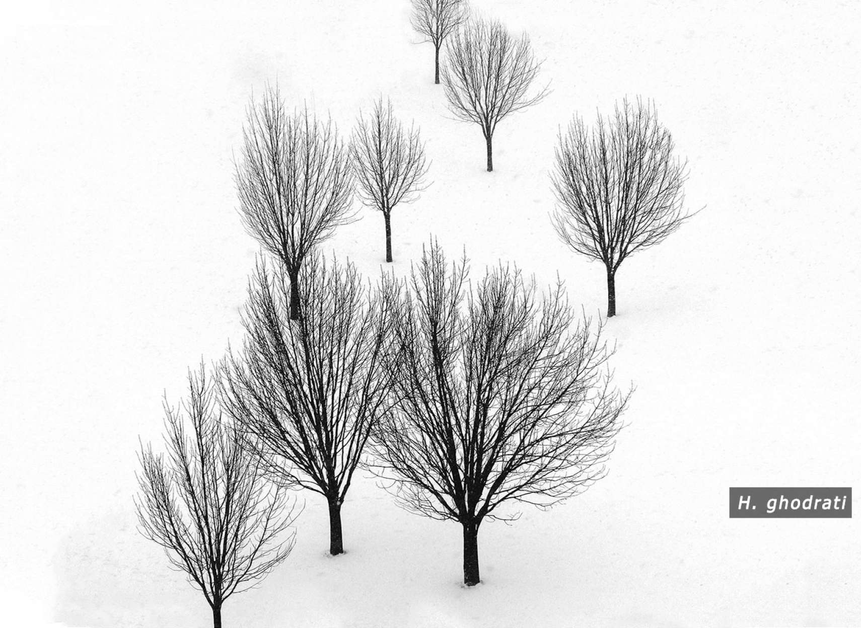 سیاه و سپید