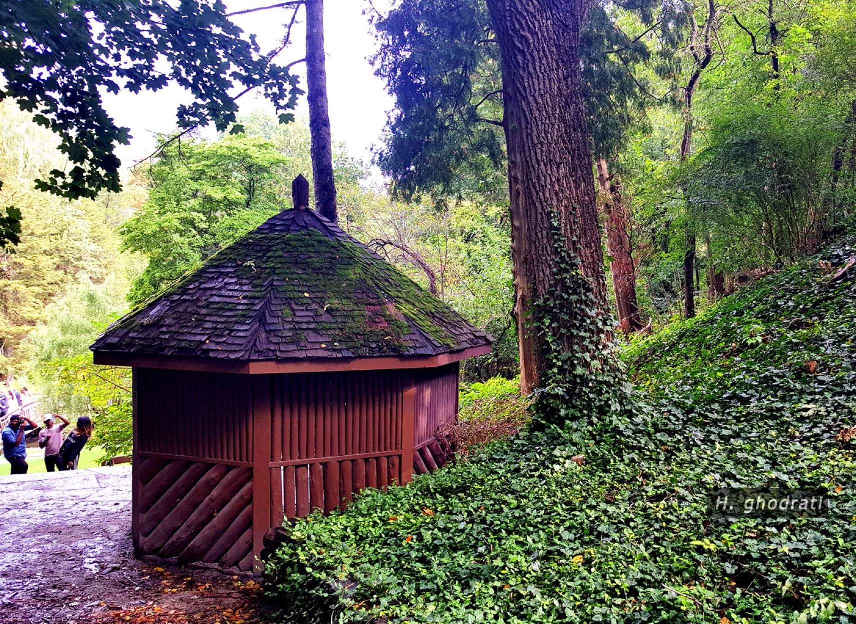 کلبه پای تپه