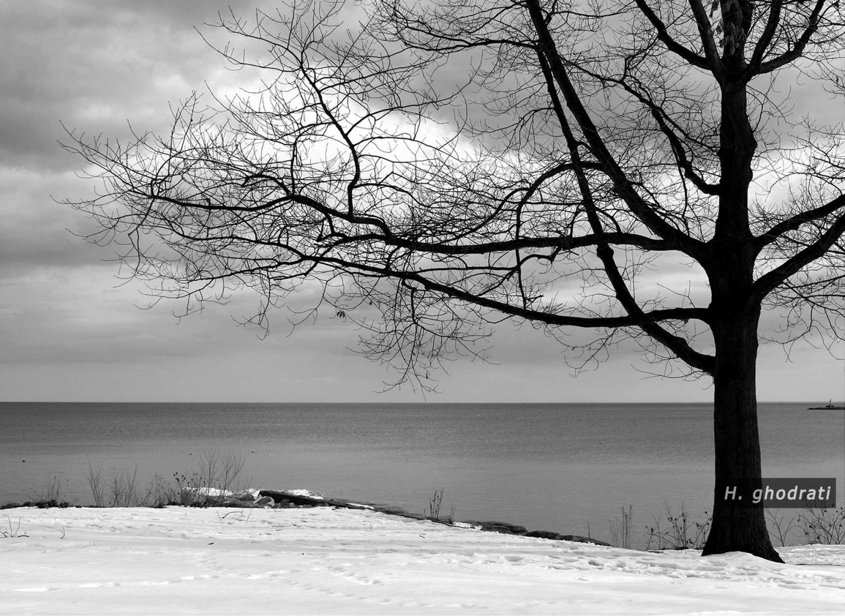 آرامش پس از برف