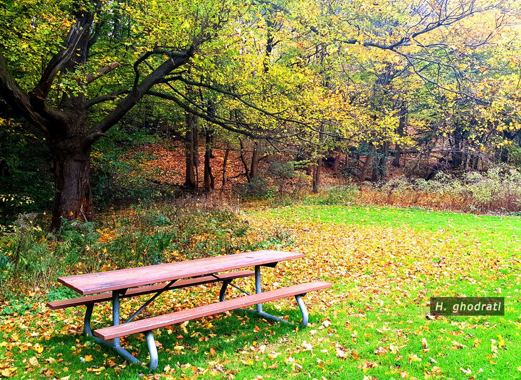 نیمکت خالی پائیزی