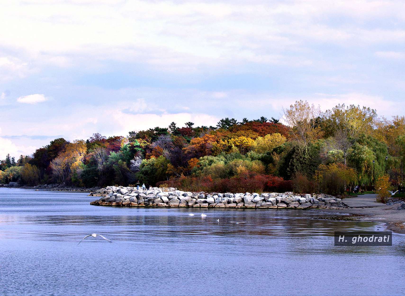 کم‌کم پائیز