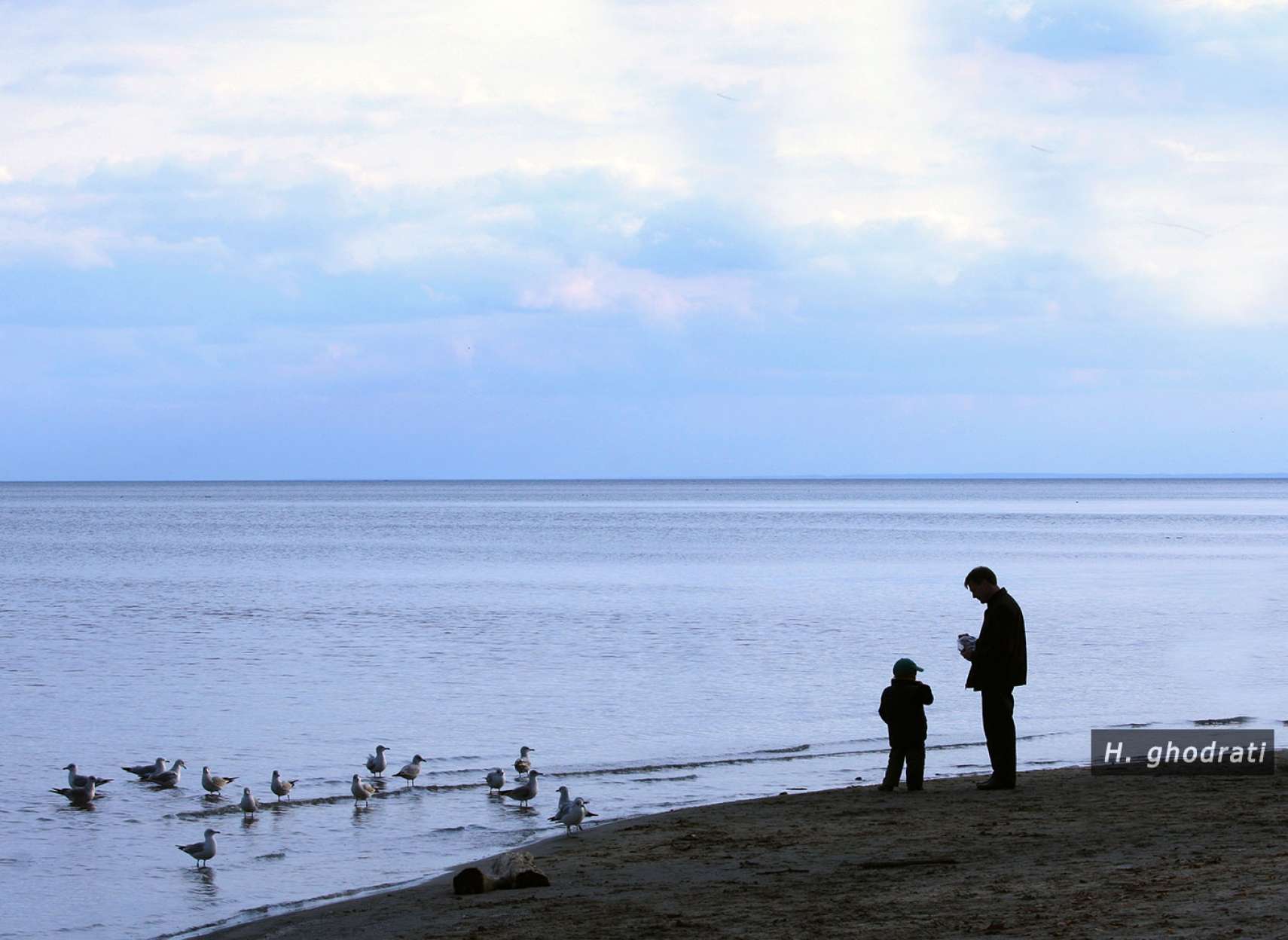 پدر، پسر، پرندگان