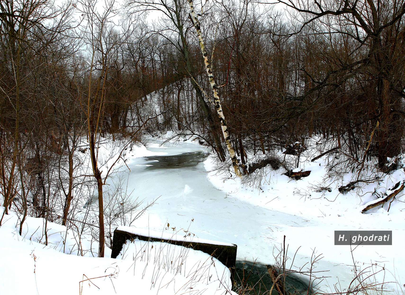 بسوی یخزدگی