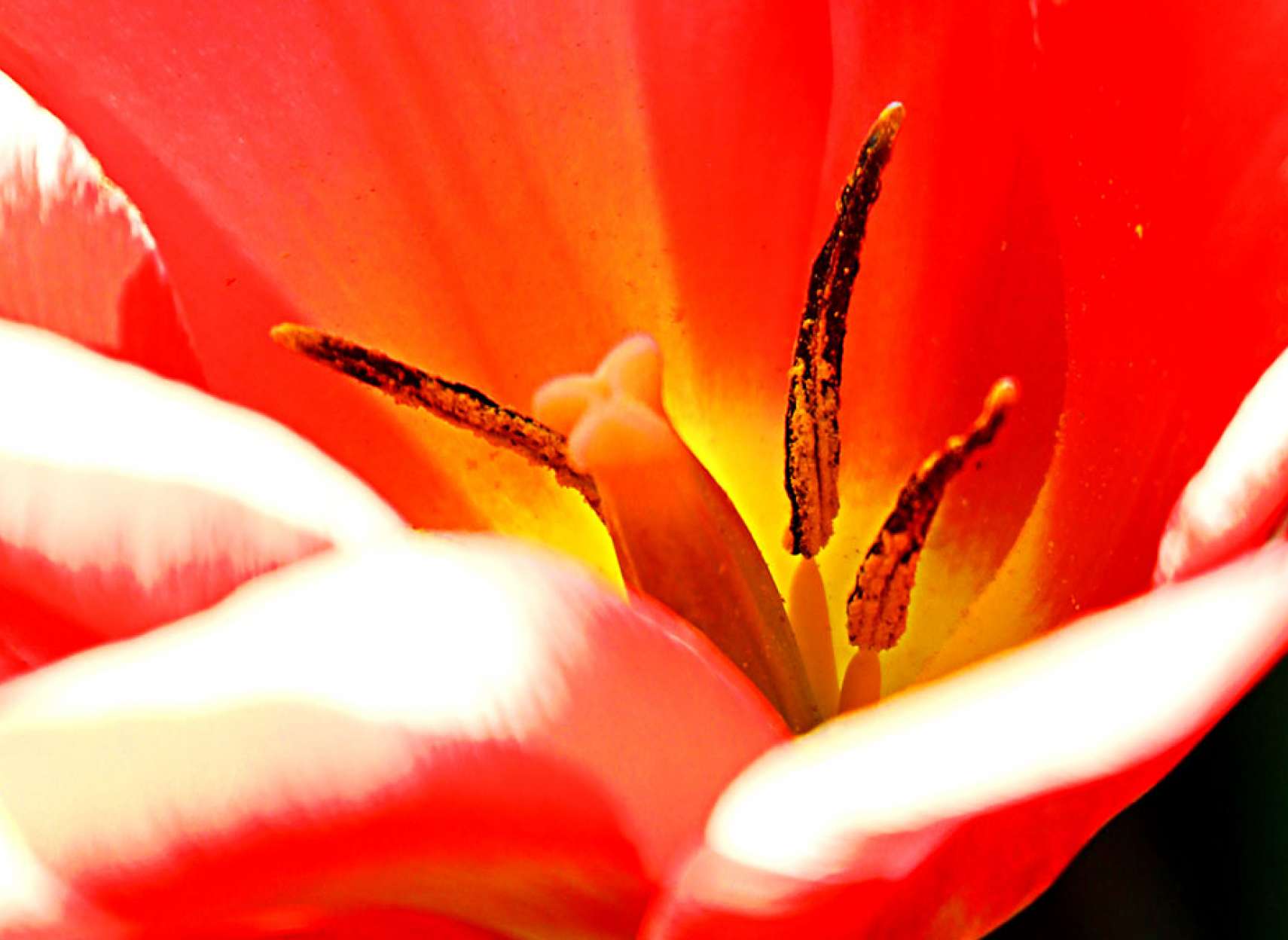 کلاله و پرچم