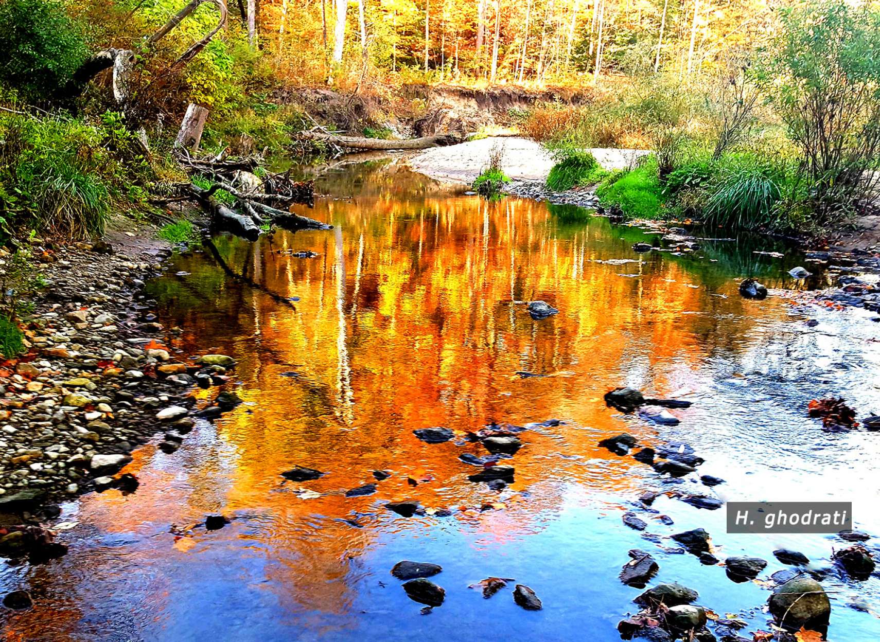 بازتاب جنگل پائیزی در نهر