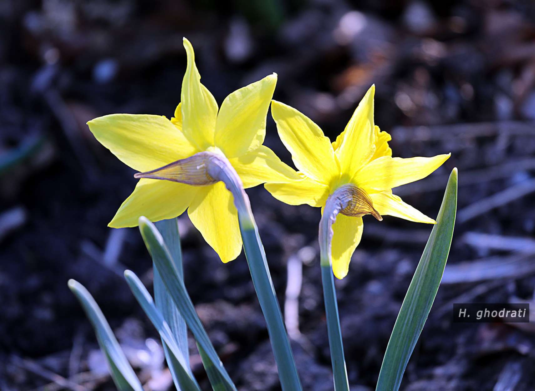 از زاویه‌ای دیگر