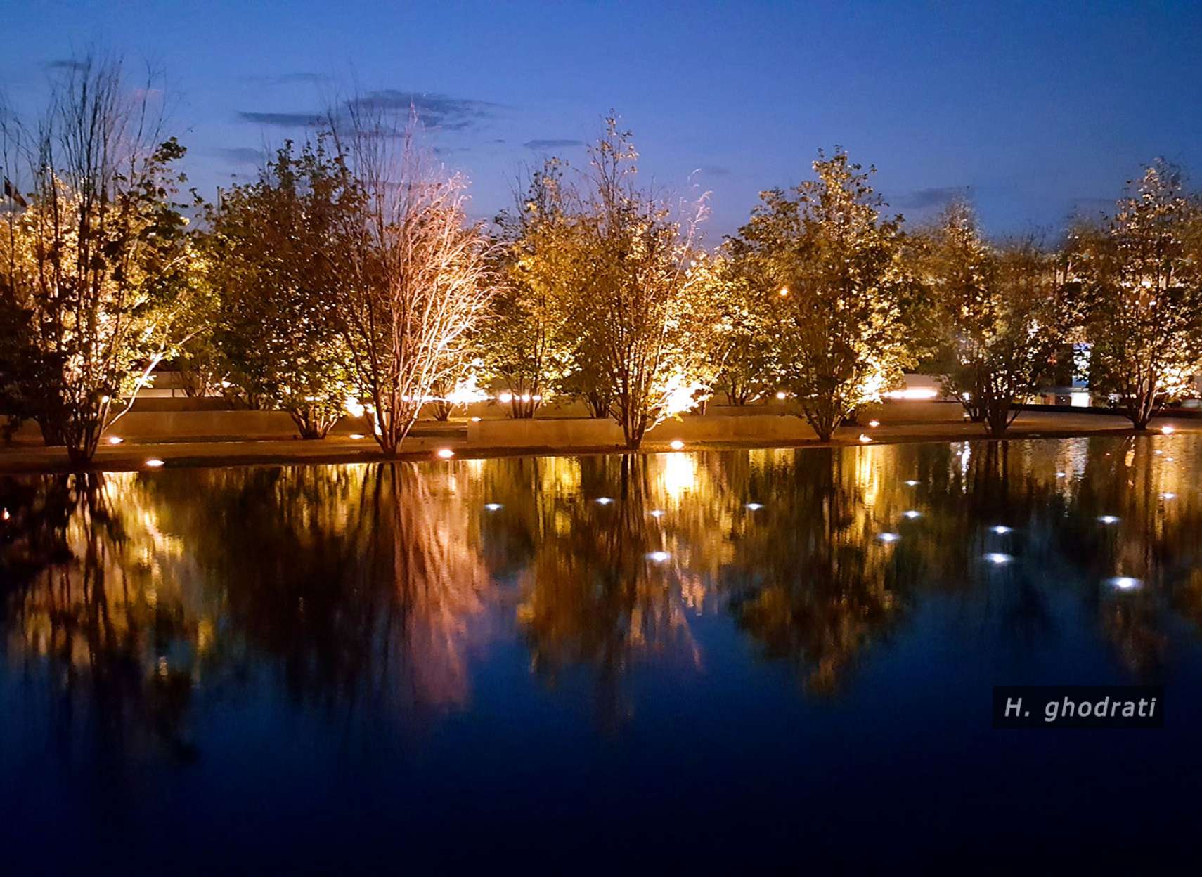 ردیف درختان در آبی