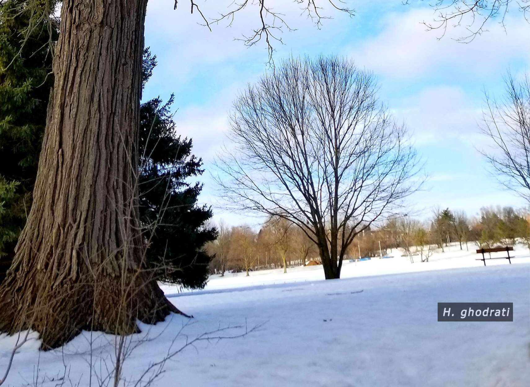 برف در پارک شیب‌دار