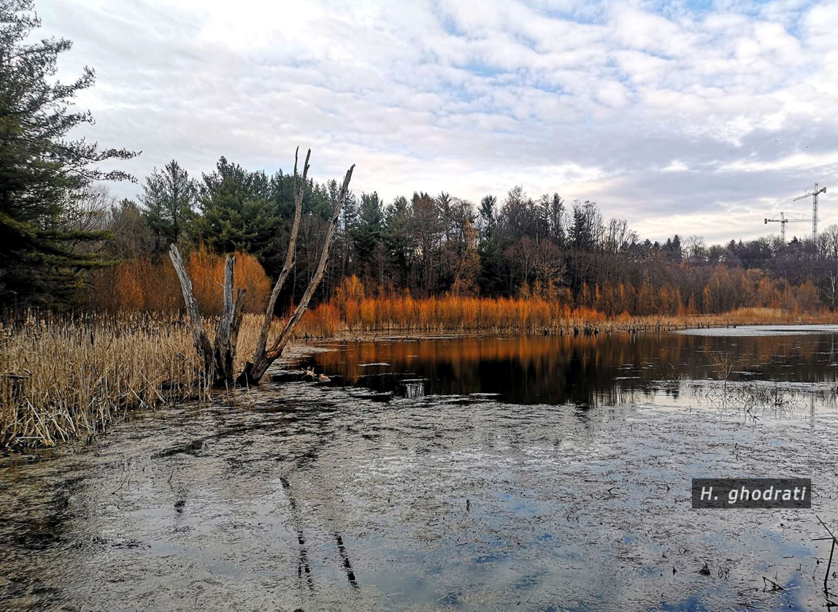 بیداری از خواب زمستانی