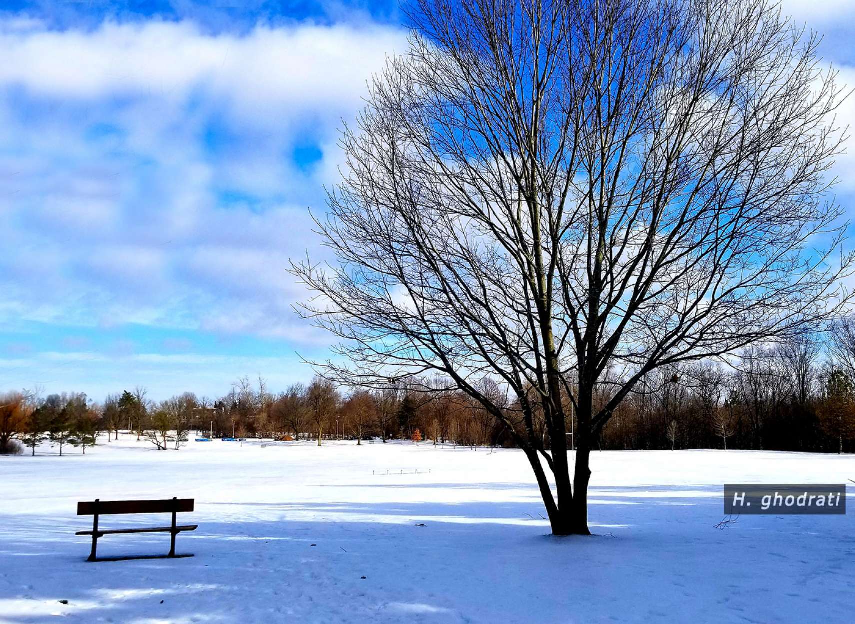 زمستان در پارک