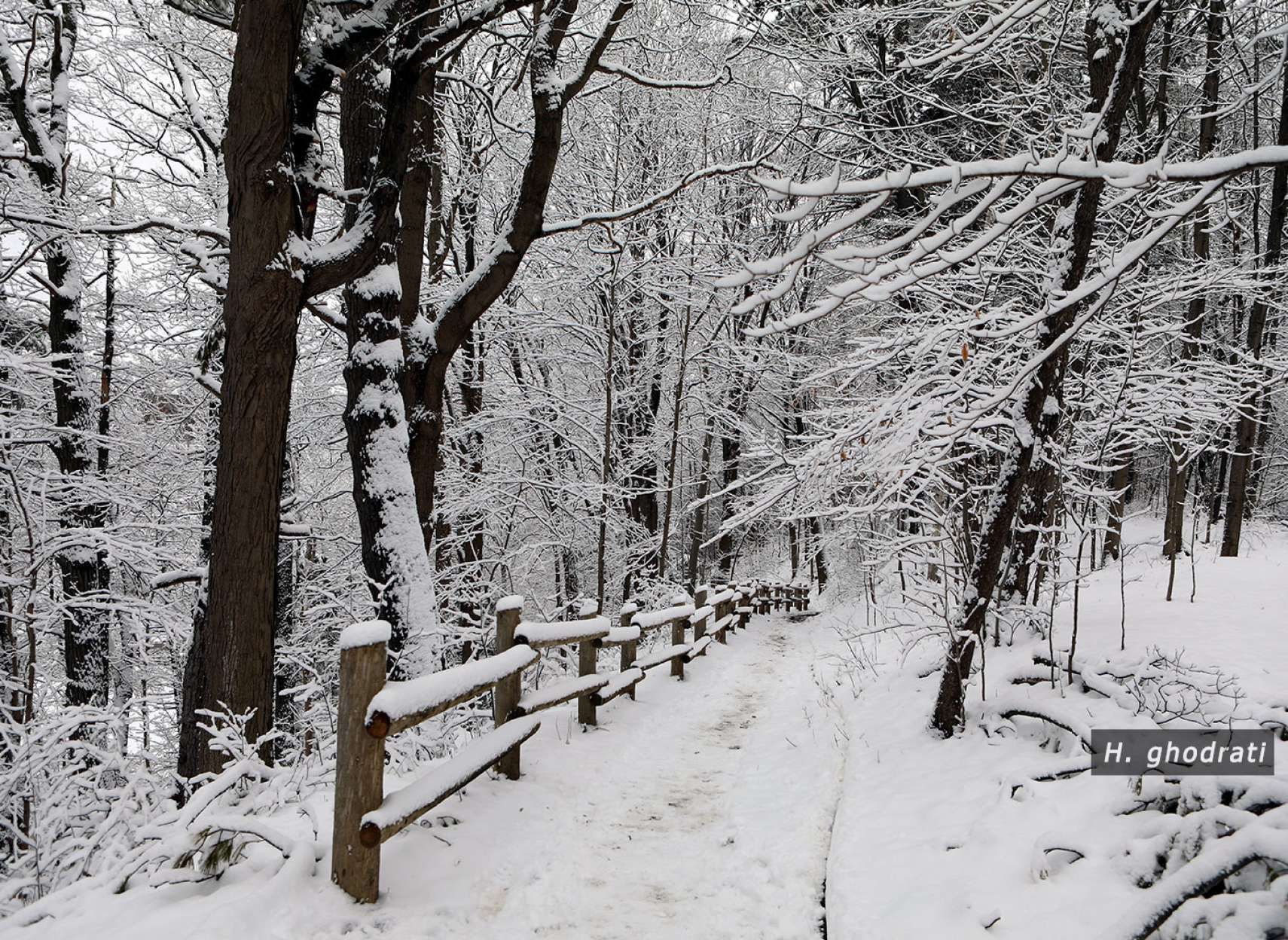 گذرگاه در برف