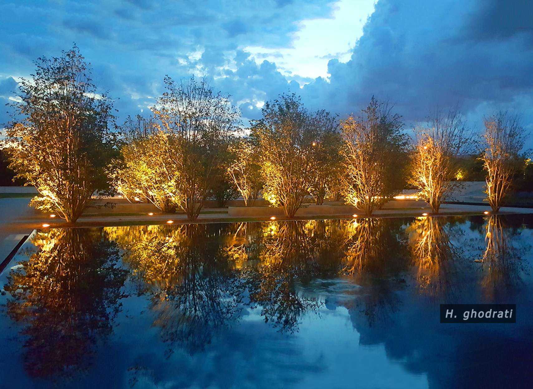 نور زرد درختان زیر آسمان آبی