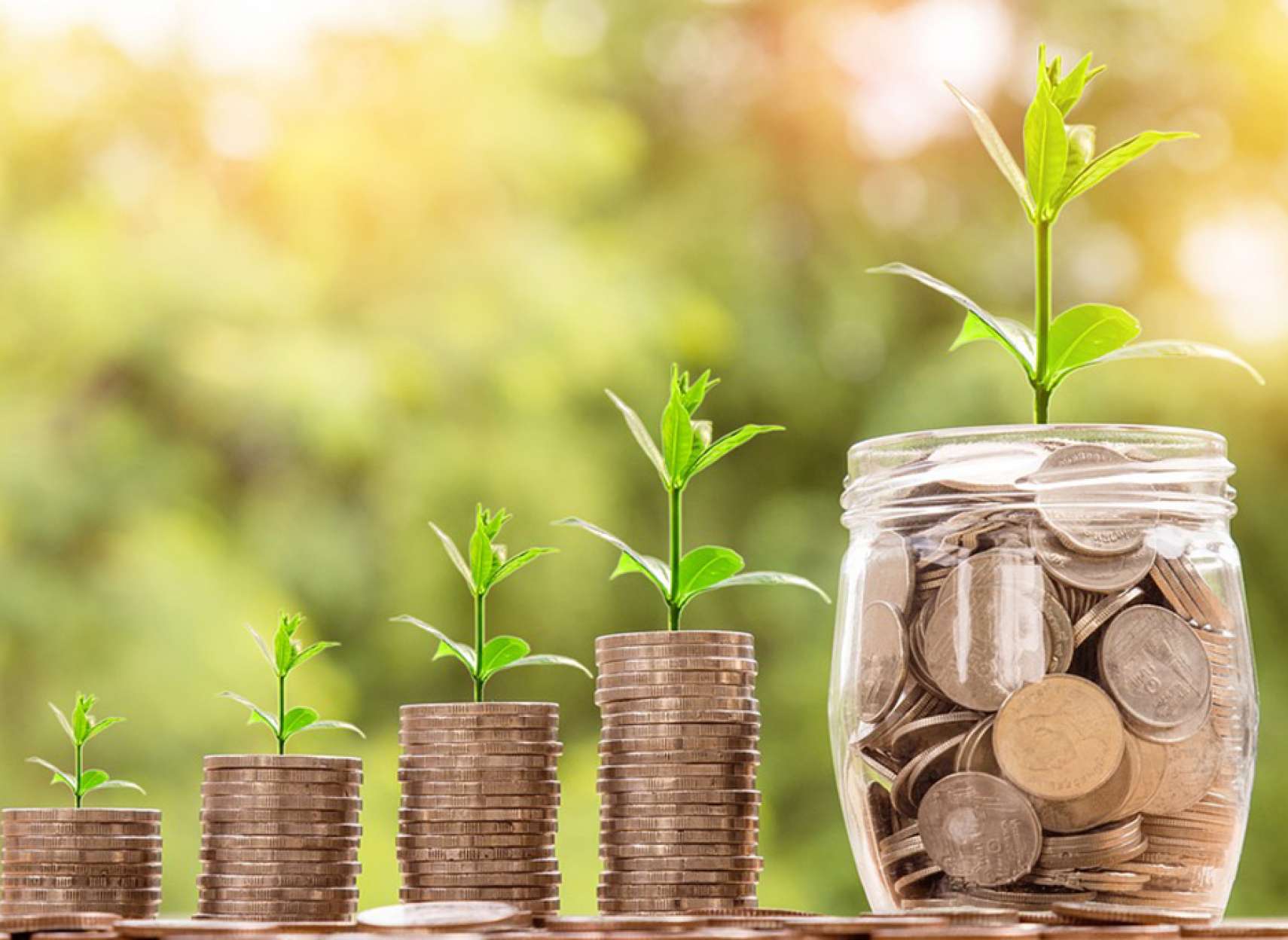 maskan-neeli-soghoot-bazar