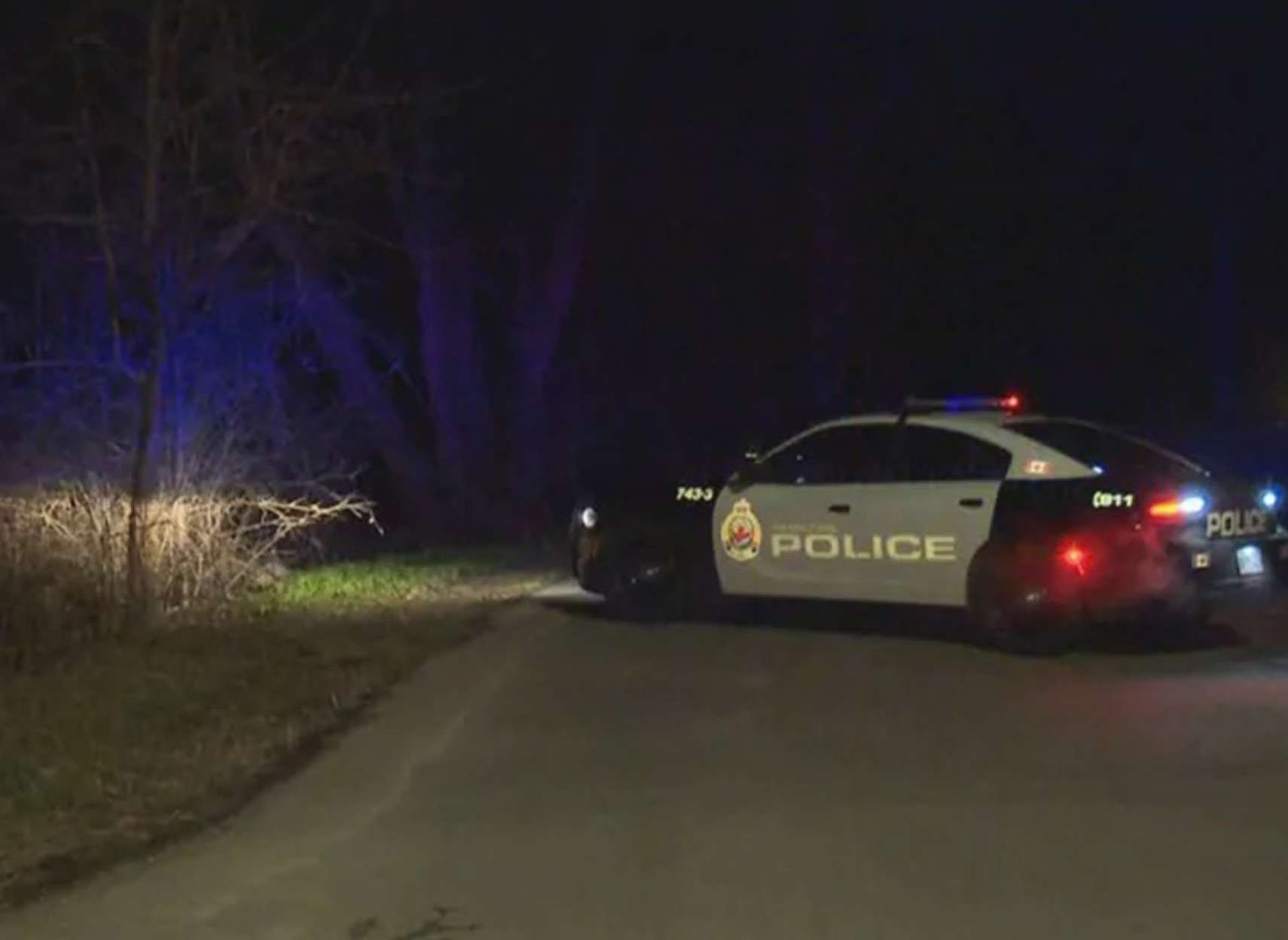 news-3-javan-koshtan-doost