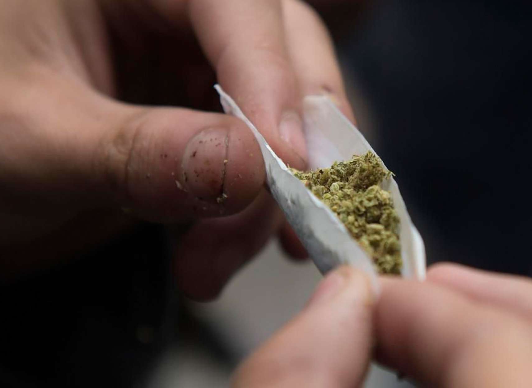 news-canada-khalaf-mibakhshad