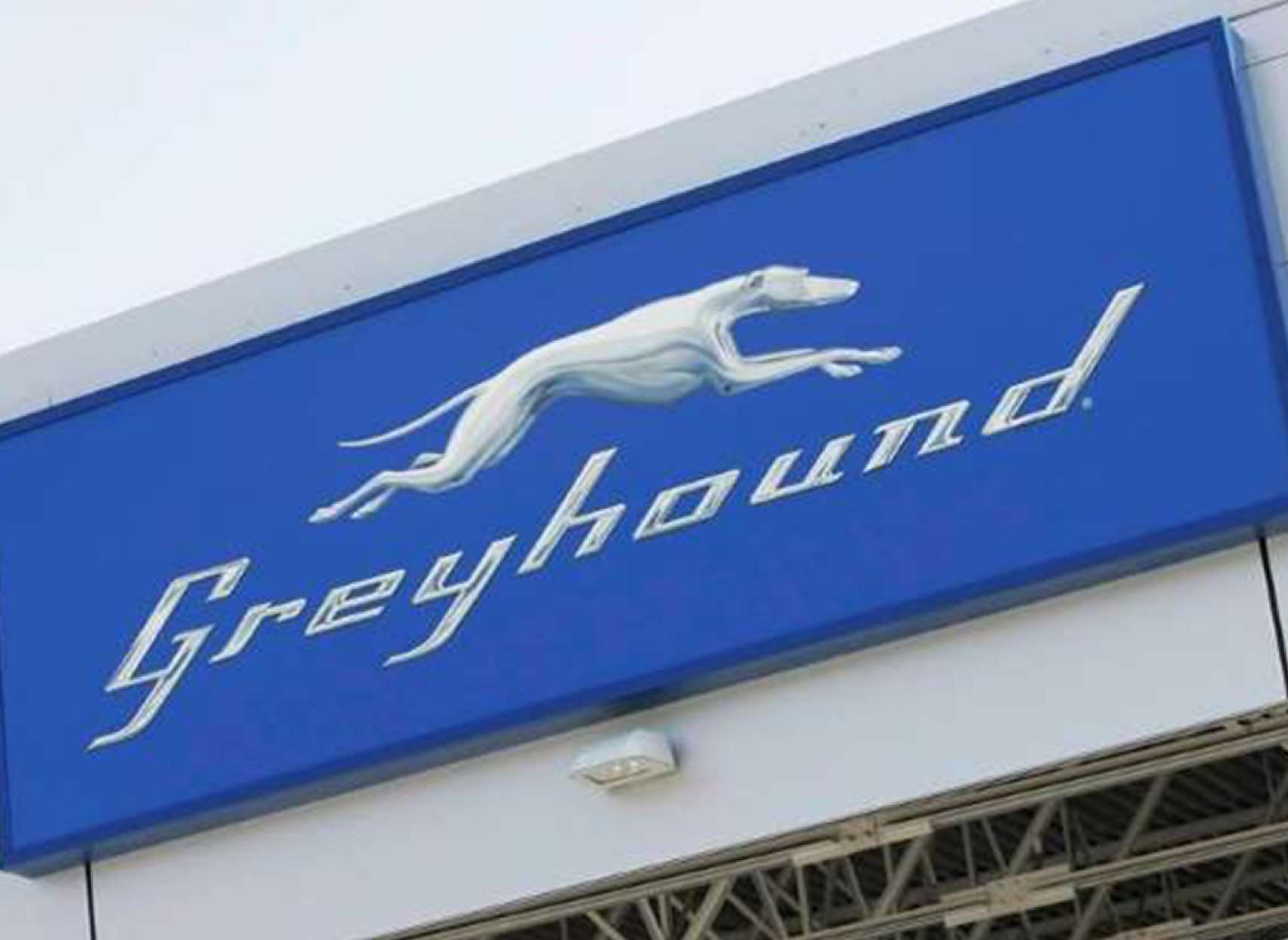 news-grayhound-gharb