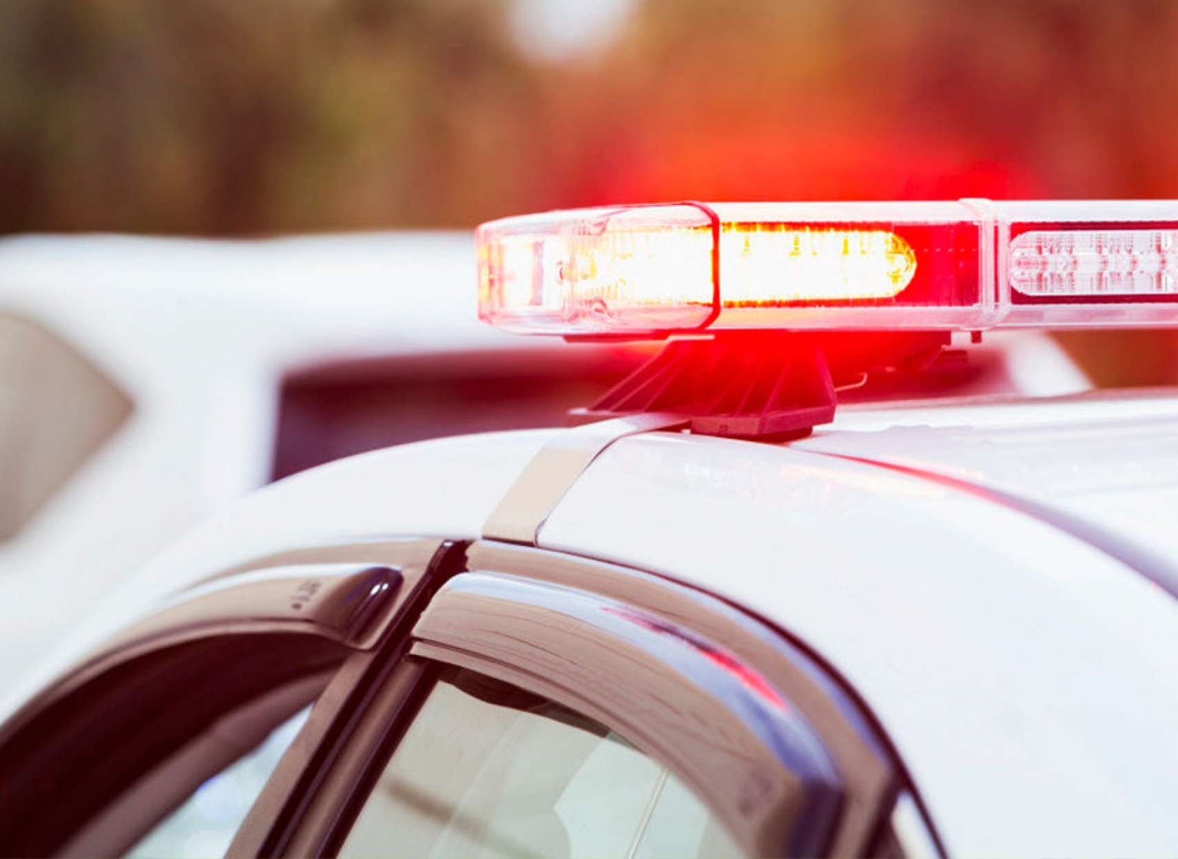 news-jarimeh-18000-monkton