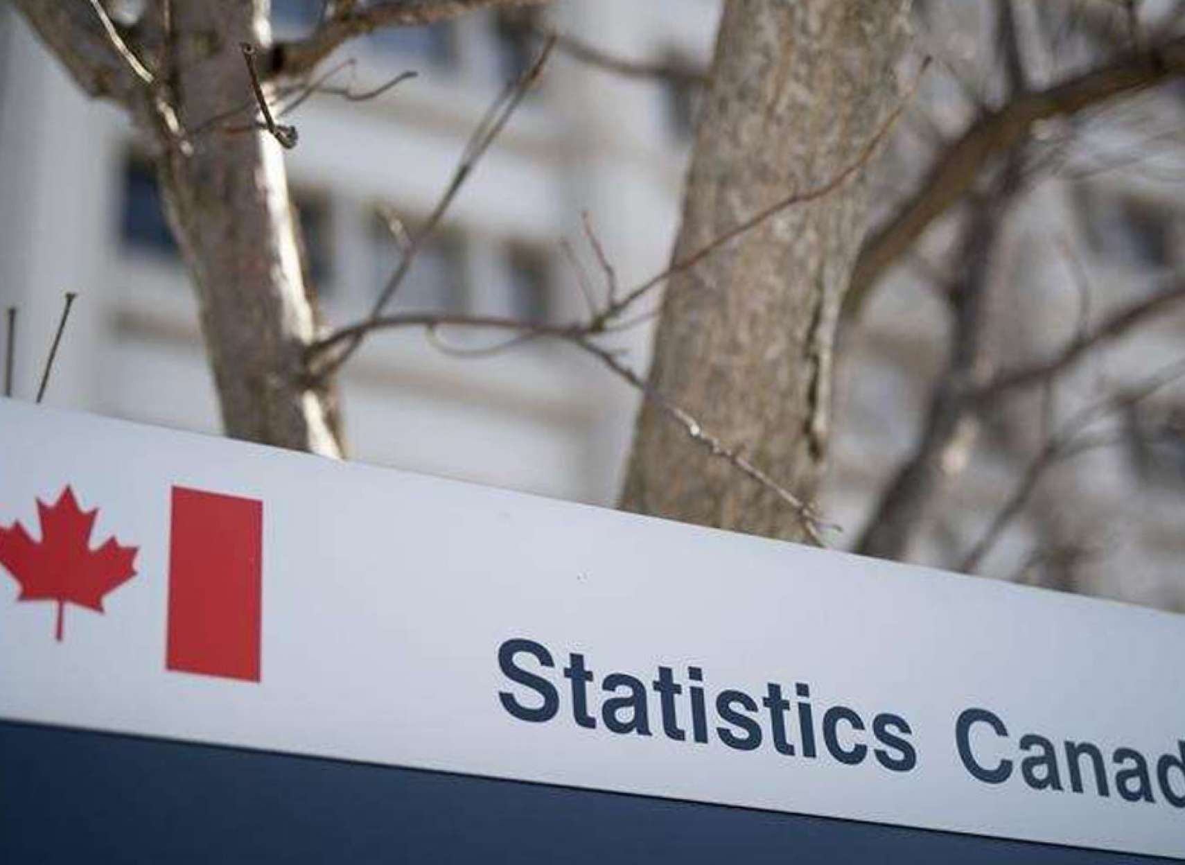 news-kasri-tejari-canada