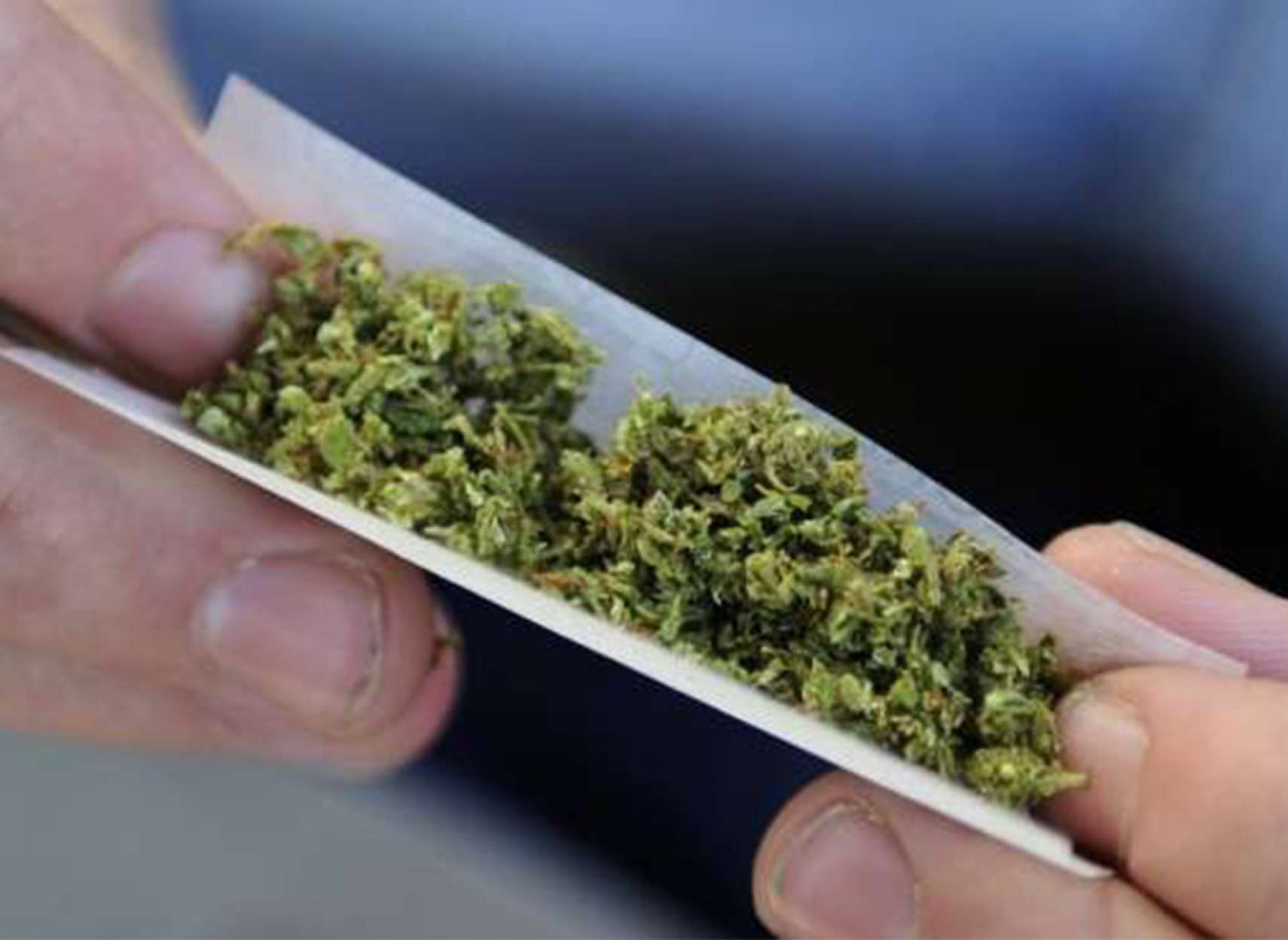 news-marijoana-javanan