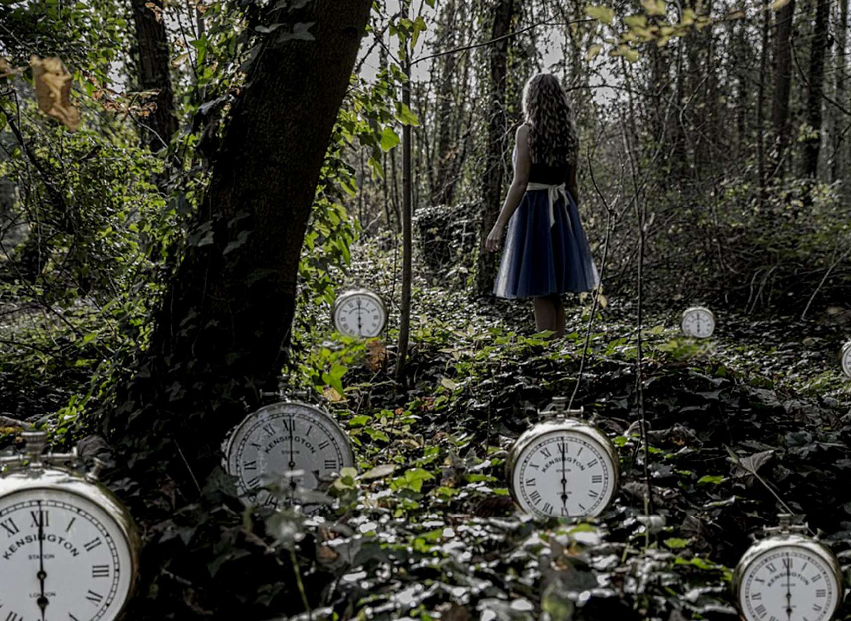 social-nikkhah-atrafian-salamati