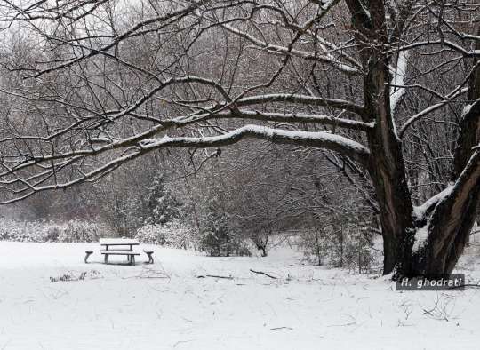 سری به پارکی در زمستان