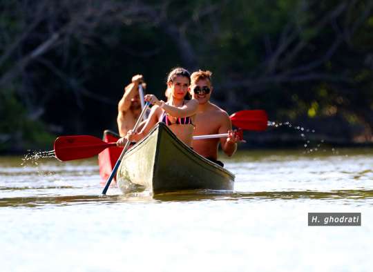 قطرات و پارو