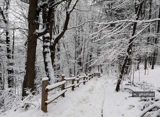 آن برف آمد و نشست