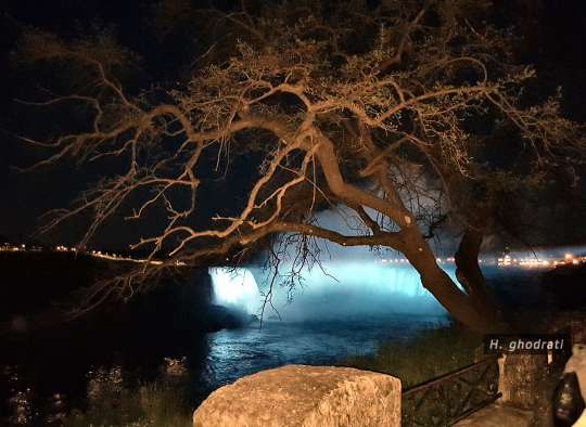 درخت اواسط پائیز آبشار نیاگارا